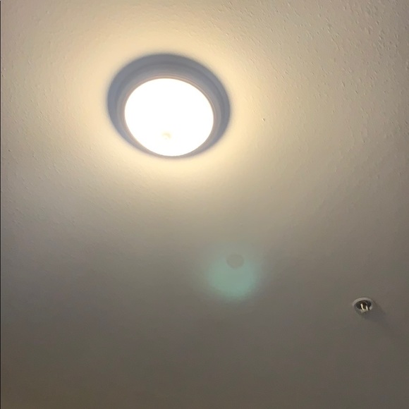 Meet your Posher, Manny - Picture 1 of 1